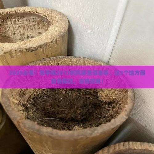 2013刮风寨普洱茶春茶