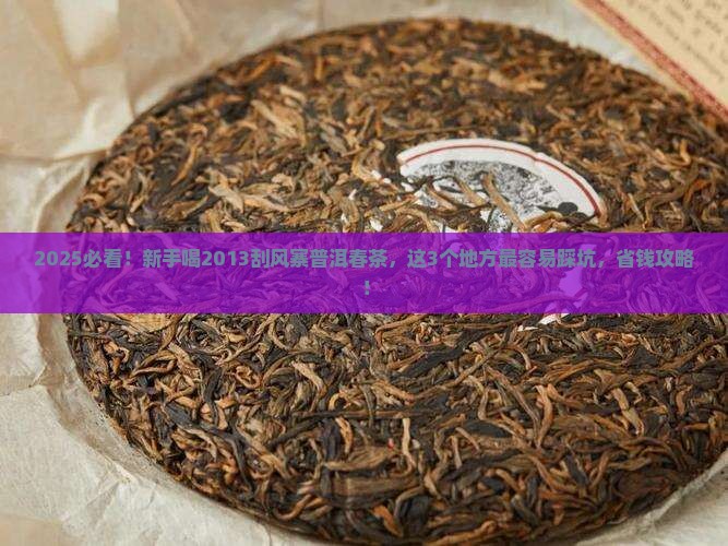 2013刮风寨普洱茶春茶