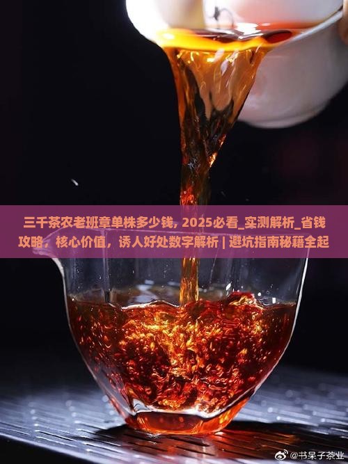 三千茶农老班章单株多少钱