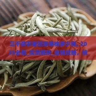 三千茶农老班章单株多少钱