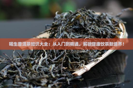 喝生普洱茶知识大全 喝生普洱茶知识大全