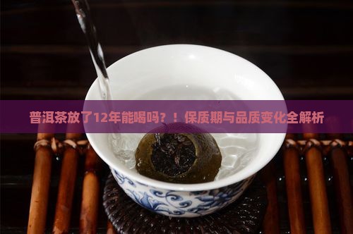 普洱茶放了12年能喝吗