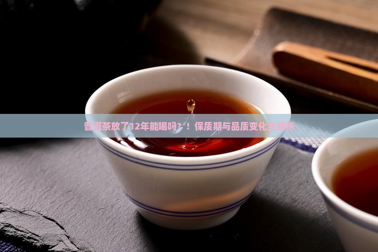 普洱茶放了12年能喝吗