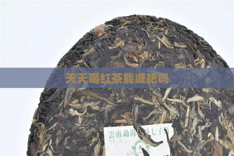 天天喝红茶能减肥吗