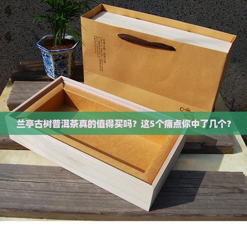 兰亭古树普洱茶
