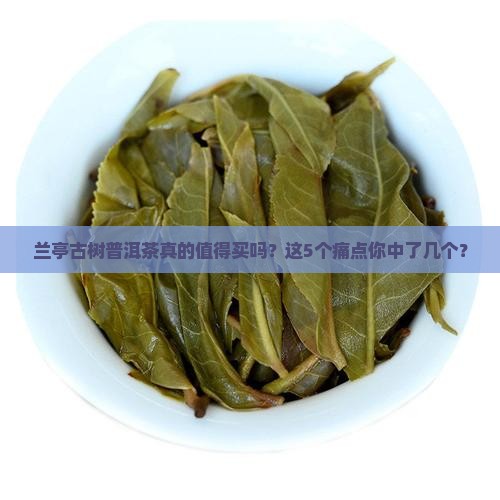 兰亭古树普洱茶