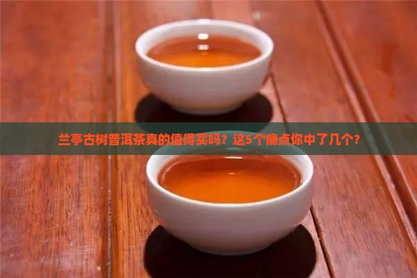 兰亭古树普洱茶