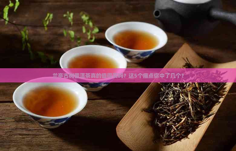 兰亭古树普洱茶