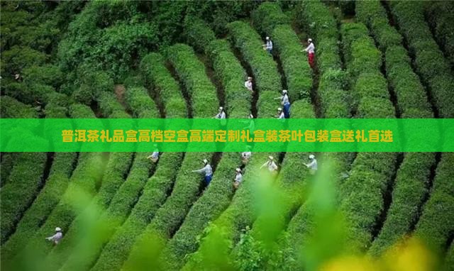 普洱茶礼品盒高档空盒