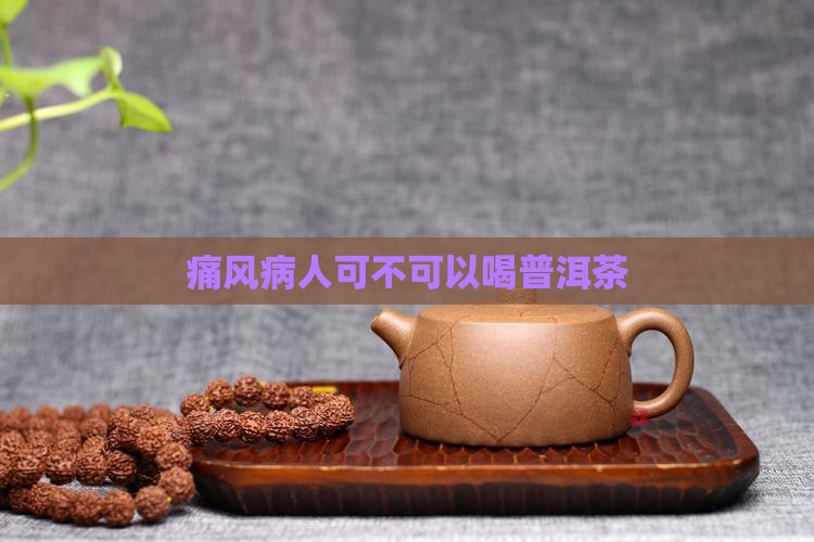 痛风病人可不可以喝普洱茶