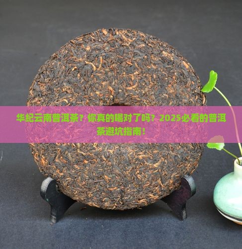 华纪云南普洱茶