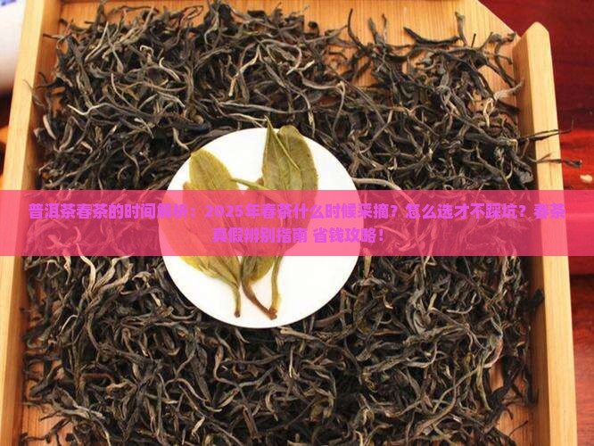 普洱茶春茶的时间