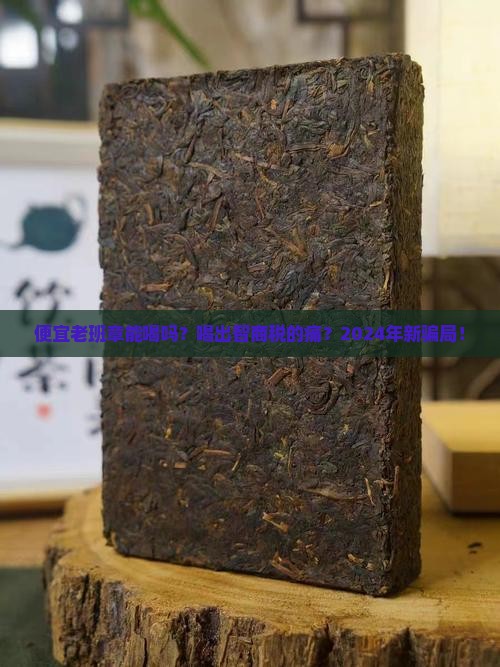 便宜老班章能喝吗