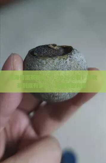 福海普洱茶获奖