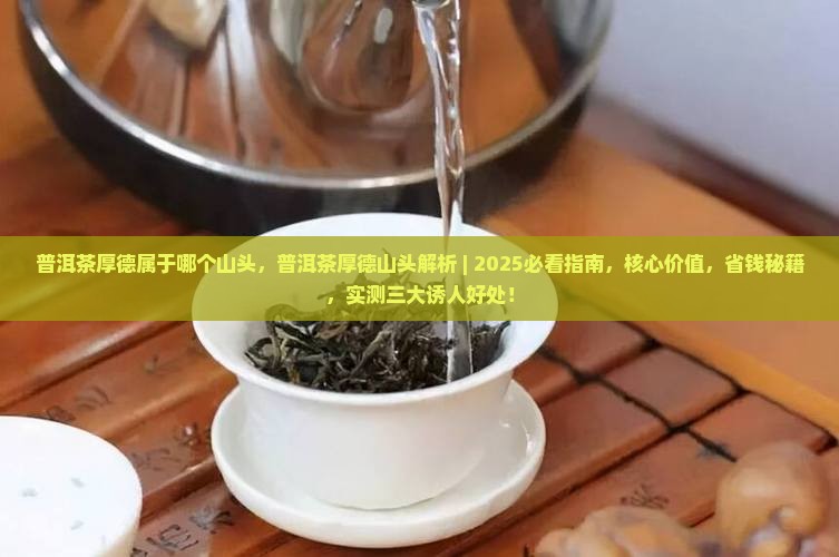 普洱茶厚德属于哪个山头