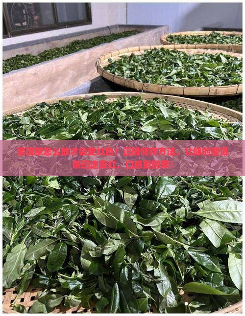 普洱茶怎么放才会变红色