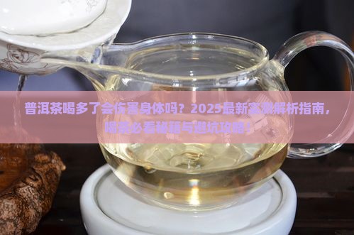 普洱茶喝多了会伤害身体吗