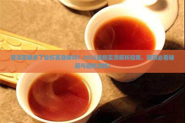 普洱茶喝多了会伤害身体吗