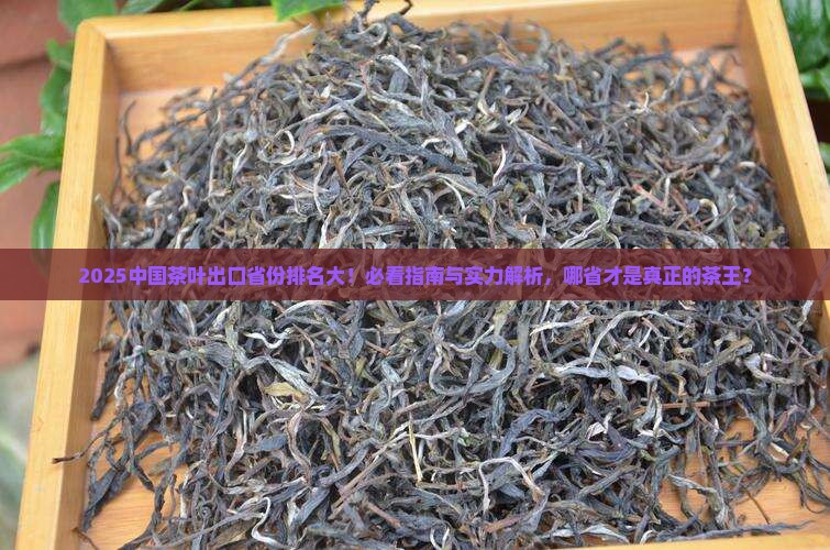 中国茶叶出口省份排名
