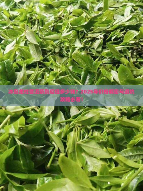 冰岛龙柱珍藏普洱茶价格