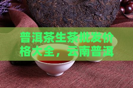 礼品普洱茶生茶批发