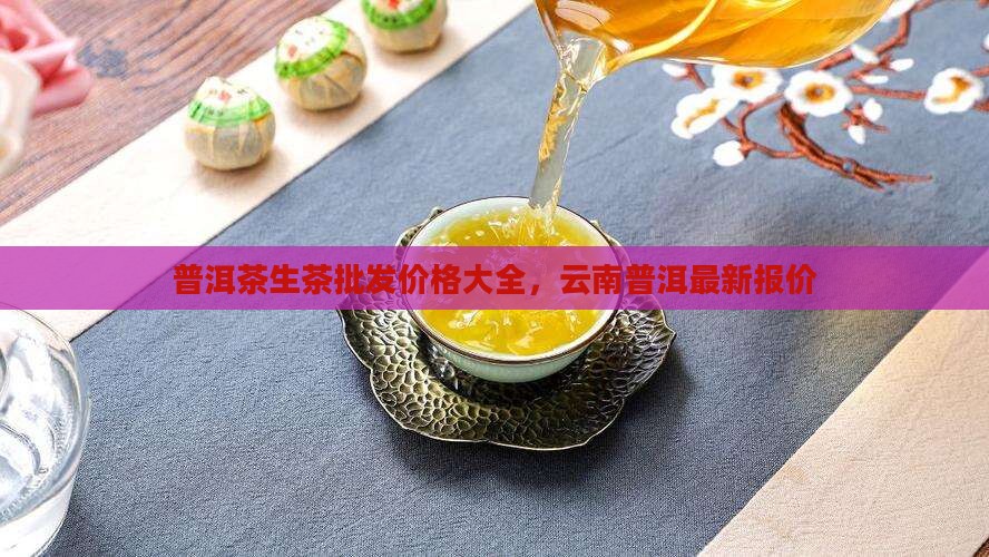 礼品普洱茶生茶批发