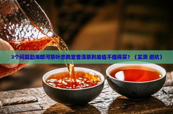 勐海郎河茶叶忠勇堂普洱茶