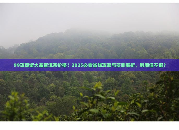 99玫瑰紫大益普洱茶价格