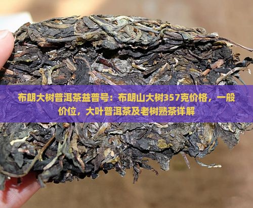 布朗大树普洱茶益普号