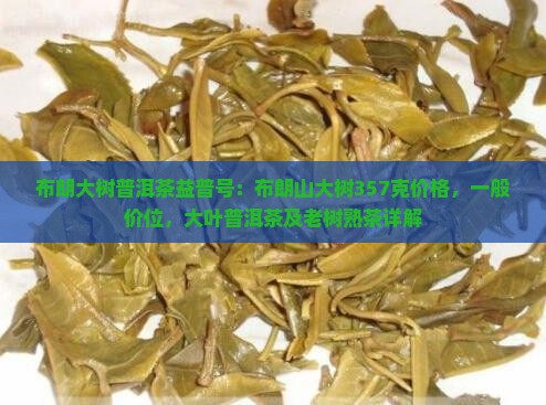 布朗大树普洱茶益普号