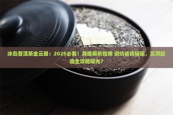 冰岛普洱茶金云晟