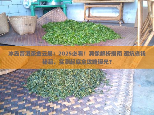 冰岛普洱茶金云晟