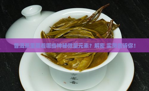 普洱茶含哪些微量元素成分