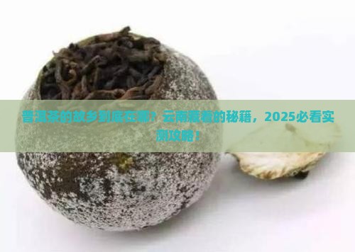 普洱茶的故乡是云南哪里
