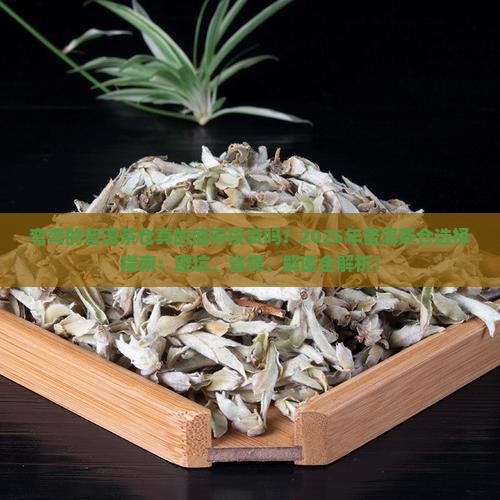 弯弯的普洱茶仓