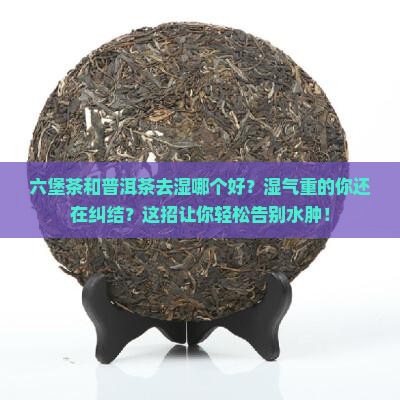 六堡茶和普洱茶去湿哪个好