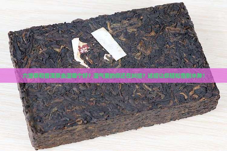 六堡茶和普洱茶去湿哪个好