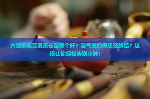 六堡茶和普洱茶去湿哪个好