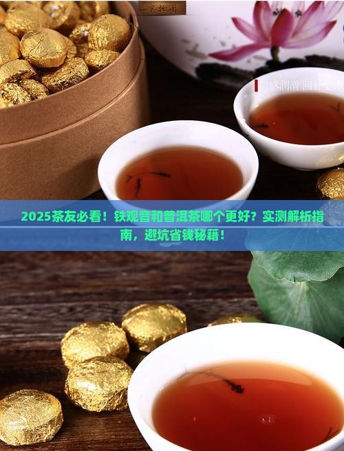 铁观音对比普洱茶哪个好
