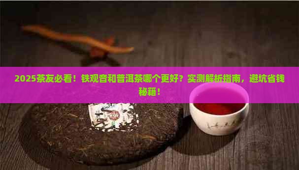 铁观音对比普洱茶哪个好