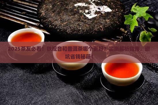 铁观音对比普洱茶哪个好