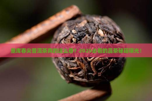 垦库春尖普洱茶