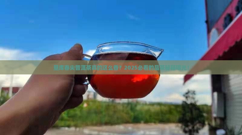 垦库春尖普洱茶