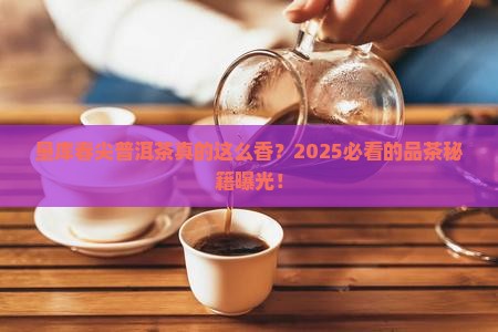 垦库春尖普洱茶