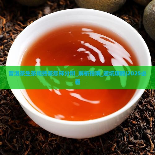 普洱茶生茶和熟茶怎样分辨