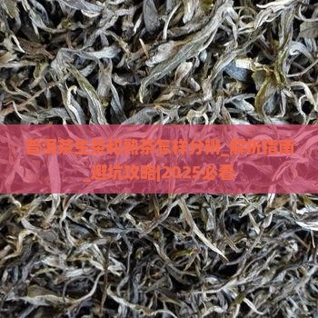 普洱茶生茶和熟茶怎样分辨
