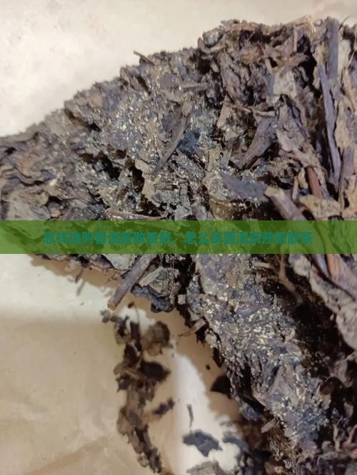 怎样选购普洱茶散茶