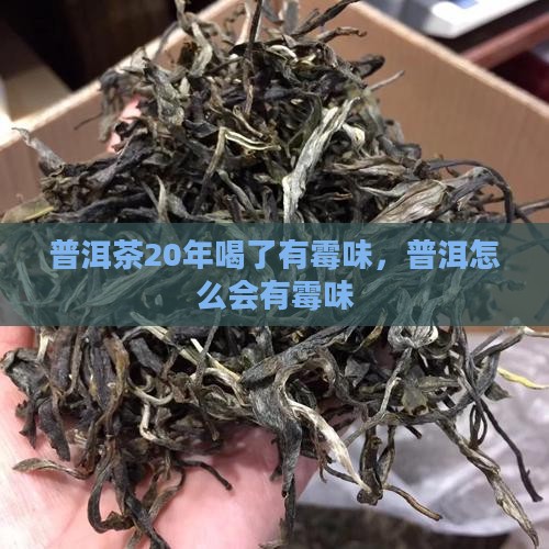 普洱茶20年喝了有霉味