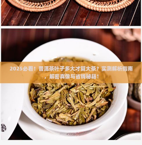 普洱茶叶子多大才算大茶
