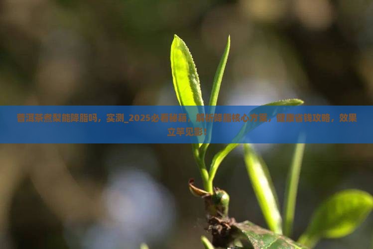 普洱茶煮梨能降脂吗